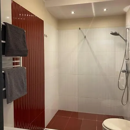 Panama Apartament 3 * بوزنان